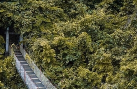 两天一晚撒野计划 | 这个火爆抖音的网红景点，堪称人间秘境！