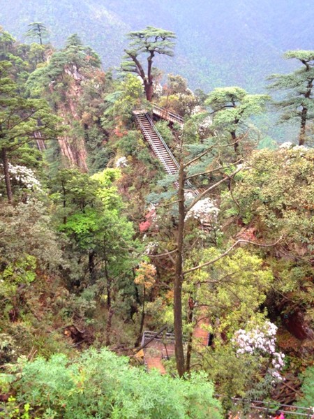 莽山景点图片