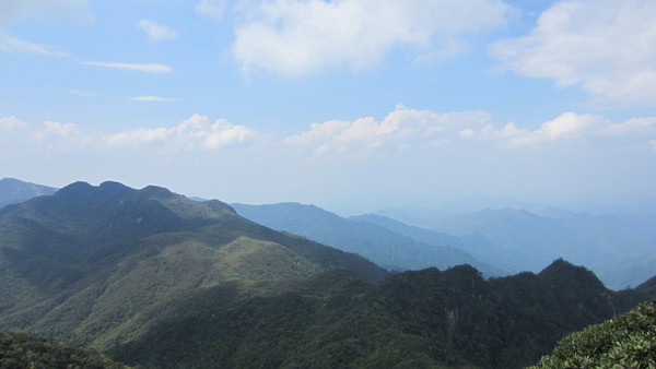 莽山自助游图片